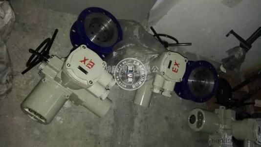 精小型防爆電動(dòng)蝶閥