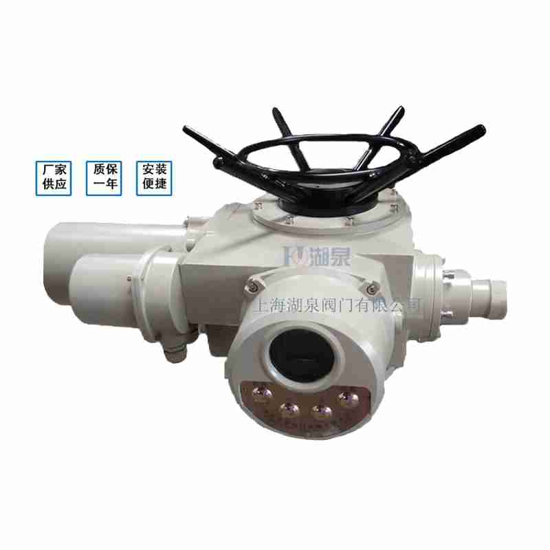 電動(dòng)閘閥DZW30-18W執(zhí)行器(廠家哪家好)